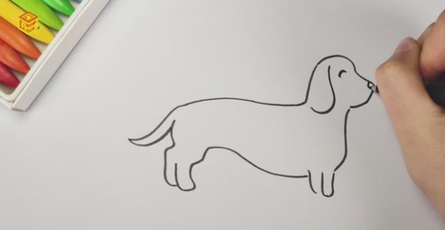 腊肠犬简笔画