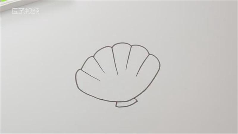 贝壳怎么画