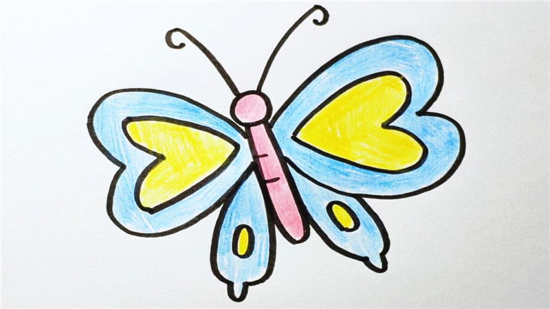 春天里的蝴蝶简笔画图片
