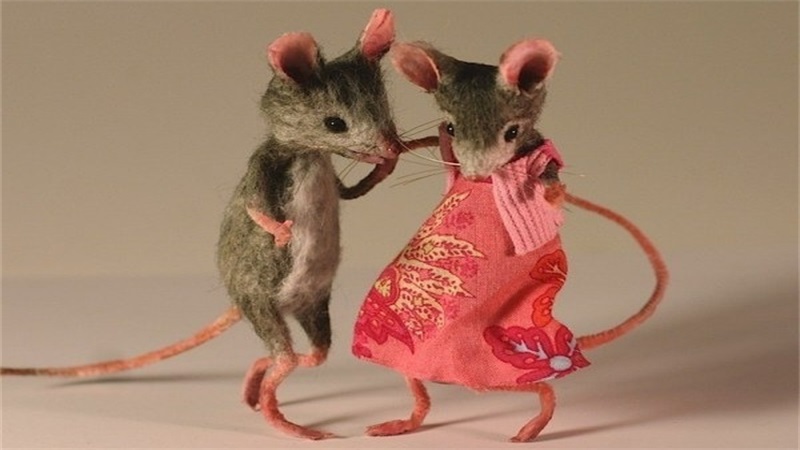 鼠和鼠相配婚姻如何