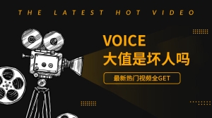 voice大值是坏人吗