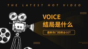 voice结局是什么