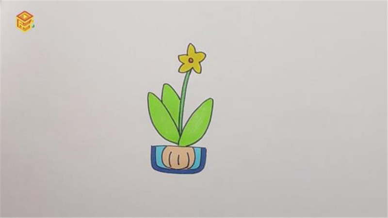 水仙花怎么画