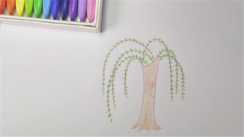 柳树手绘彩铅画图片