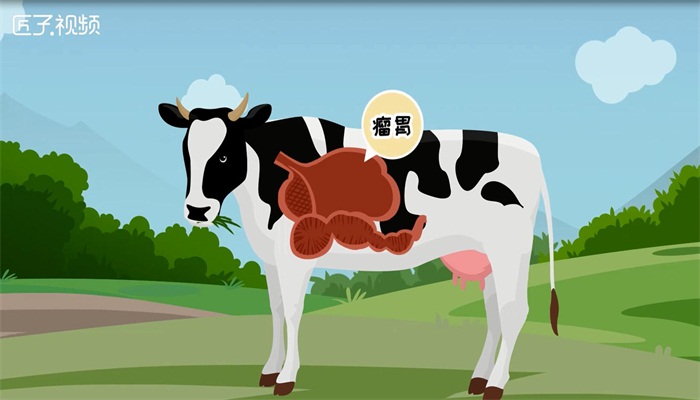 牛的胃卡通画图片