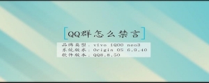 QQ群怎么禁言