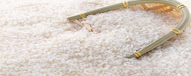 五常大米是哪个地方的特产