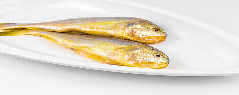 同乐鱼和黄花鱼的区别是什么
