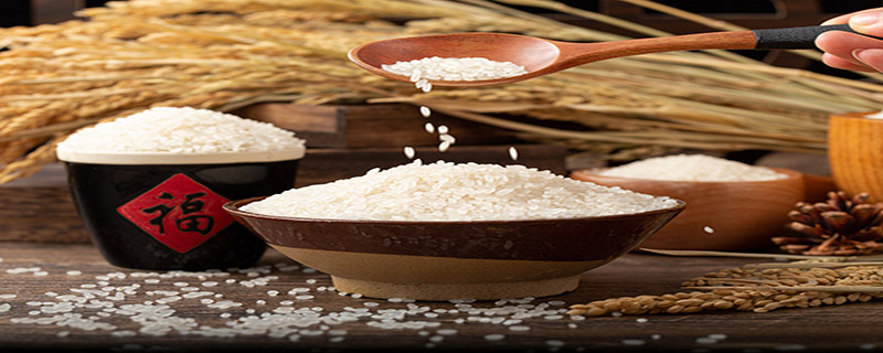 糙米饭是哪几种米