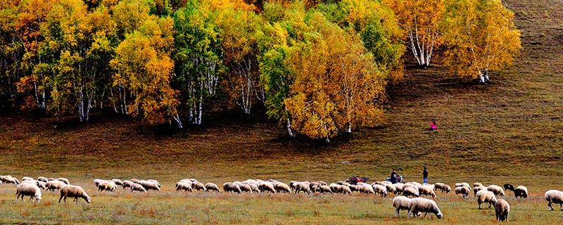 内蒙古高原海拔多少米