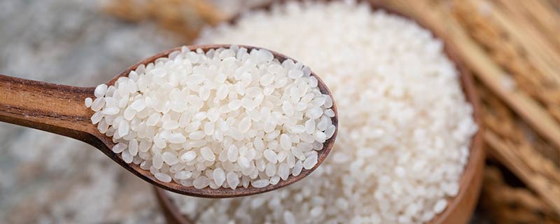 干拌饭的米是什么米