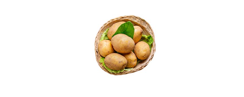 土豆属于什么类