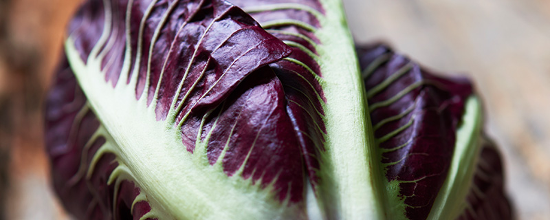 紫色生菜叶是什么菜