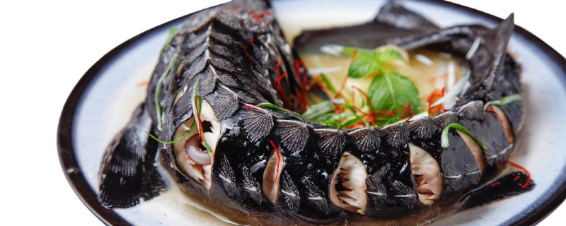 中华鲟属于鱼类吗