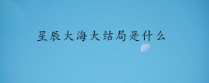 星辰大海大结局