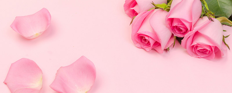 七朵粉色玫瑰花代表的是什么意思
