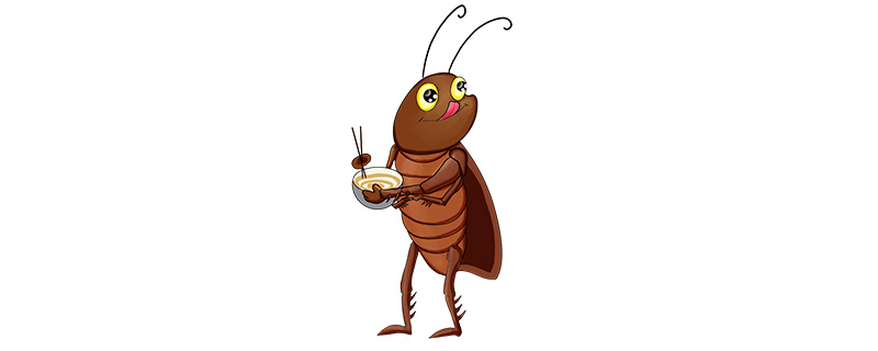 蟑螂最爱吃什么