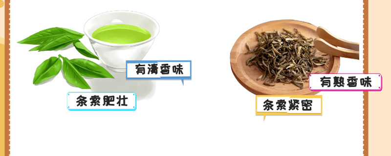 生茶和熟茶的区别