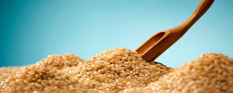 粳米和大米的区别有哪些