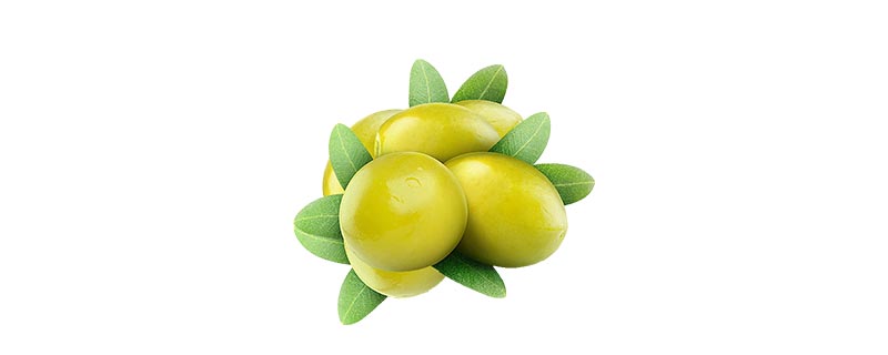 油橄榄和橄榄的区别是什么