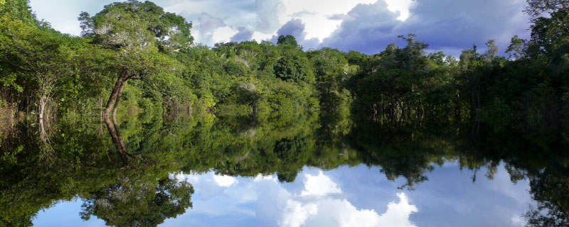 亚马逊河最窄处是多少米