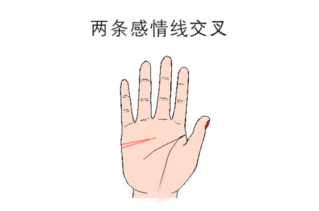 女人手掌纹路图解右手感情线 尾端分岔的感情线勇于尝试(感情线)