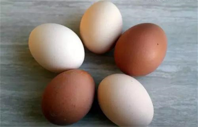 怎样鉴别土鸡蛋与饲料蛋