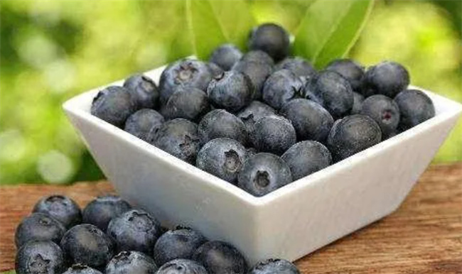 蓝莓表面的白霜是农药残留吗