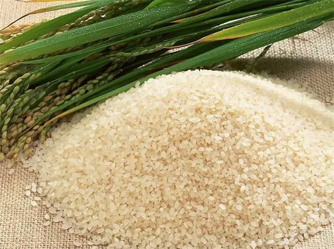 怎么防止大米生虫