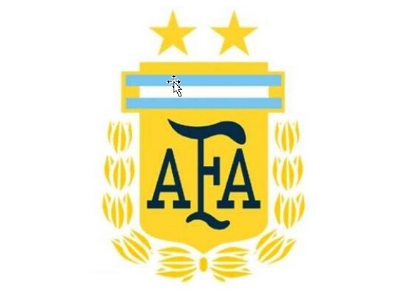 阿根廷国家队队徽（国家国旗的宝蓝色和金色为主）