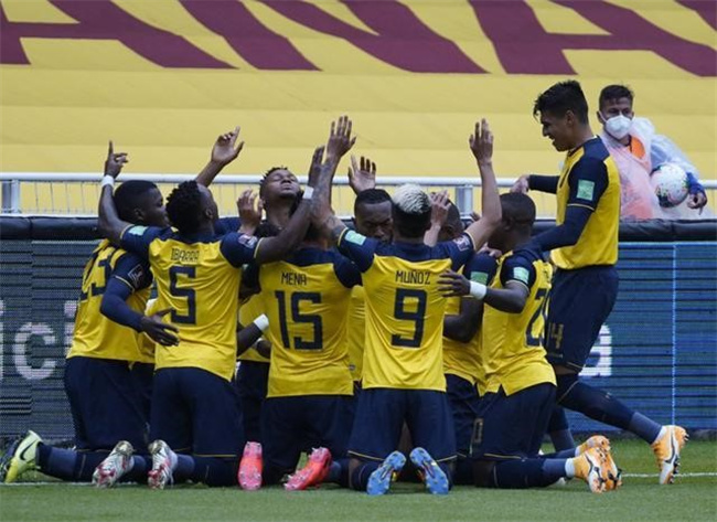 世界杯最新消息厄瓜多尔vs塞内加尔（2:1）