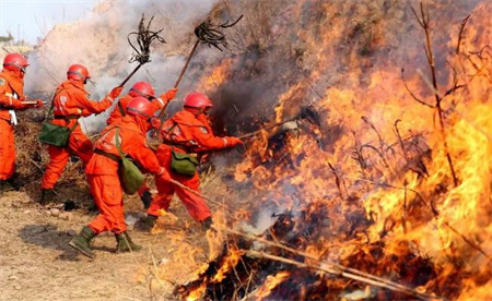 ​辽宁本溪发生山火正在调集力量扑救 有哪些方法可以利用？