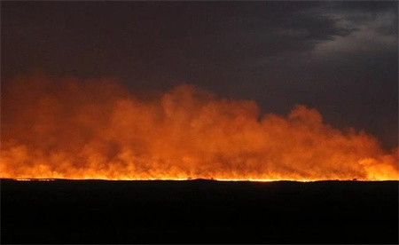 ​蒙古国发生草原火灾烧死大量牲畜 草原火灾危害有多大？