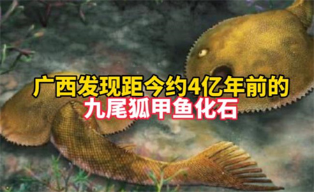 ​广西发现九尾狐甲鱼化石 这项发现有什么意义？