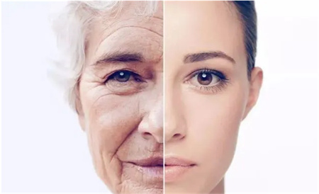 导致皮肤老化的重要蛋白发现 是那种类型重要蛋白
