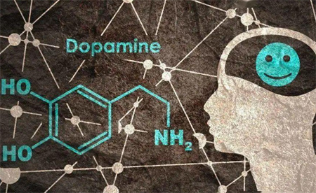 ​内啡肽和多巴胺是什么 它们的区别在哪里