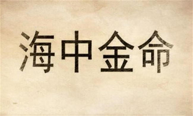 海中金运势如何