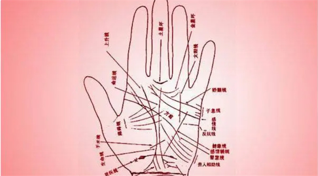 财运线和事业线是一样的吗