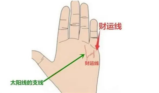 怎样从手相上看自己有没有财富线呢