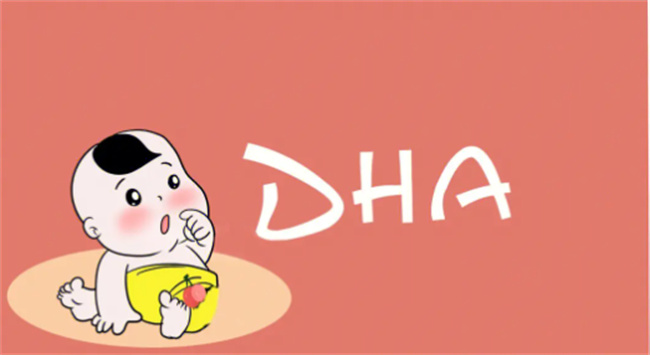 宝宝什么时候补充dha最好