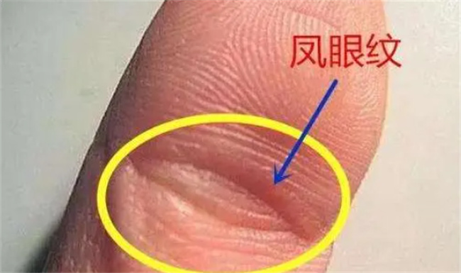有凤眼纹好吗