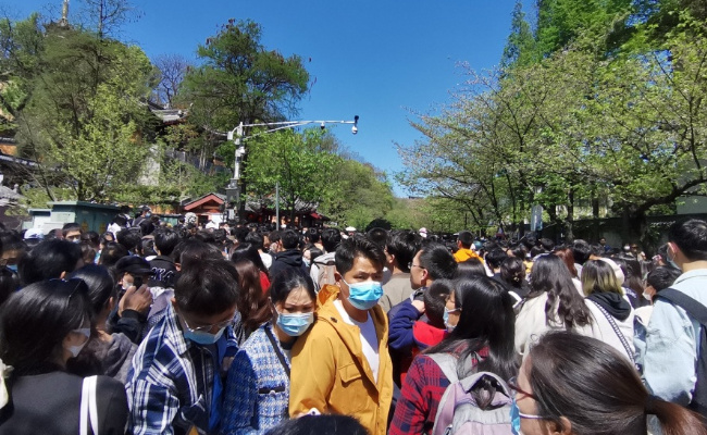 清明假期国内游1.19亿人次，释放了哪些信号