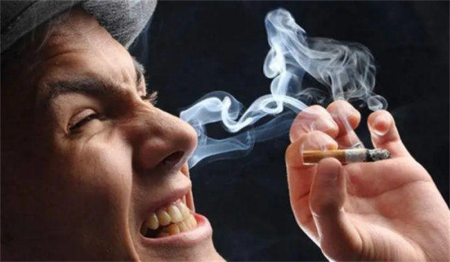 没有器官能逃过吸烟的伤害，吸烟伤害了哪些器官