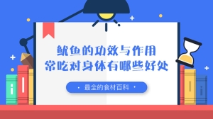 鱿鱼的功效与作用