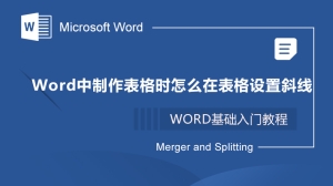 word制作表格时怎么在表格中设置斜线