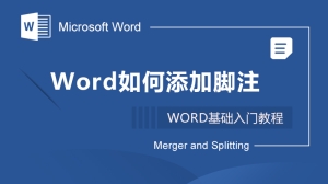 word2010如何添加脚注