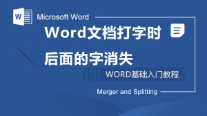 word文档打字时后面的字消失