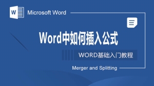 Word中如何插入公式