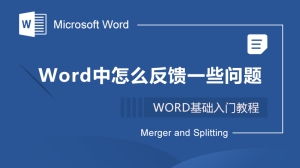 Word中怎么反馈一些问题