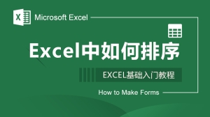 Excel中如何排序